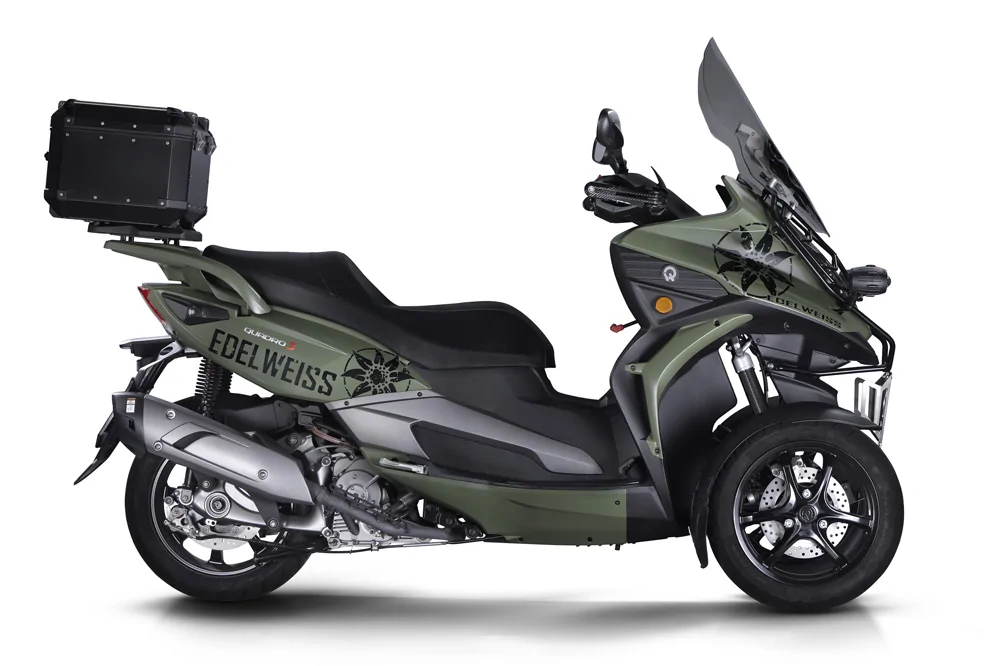 Quadro 3 Edelweiss