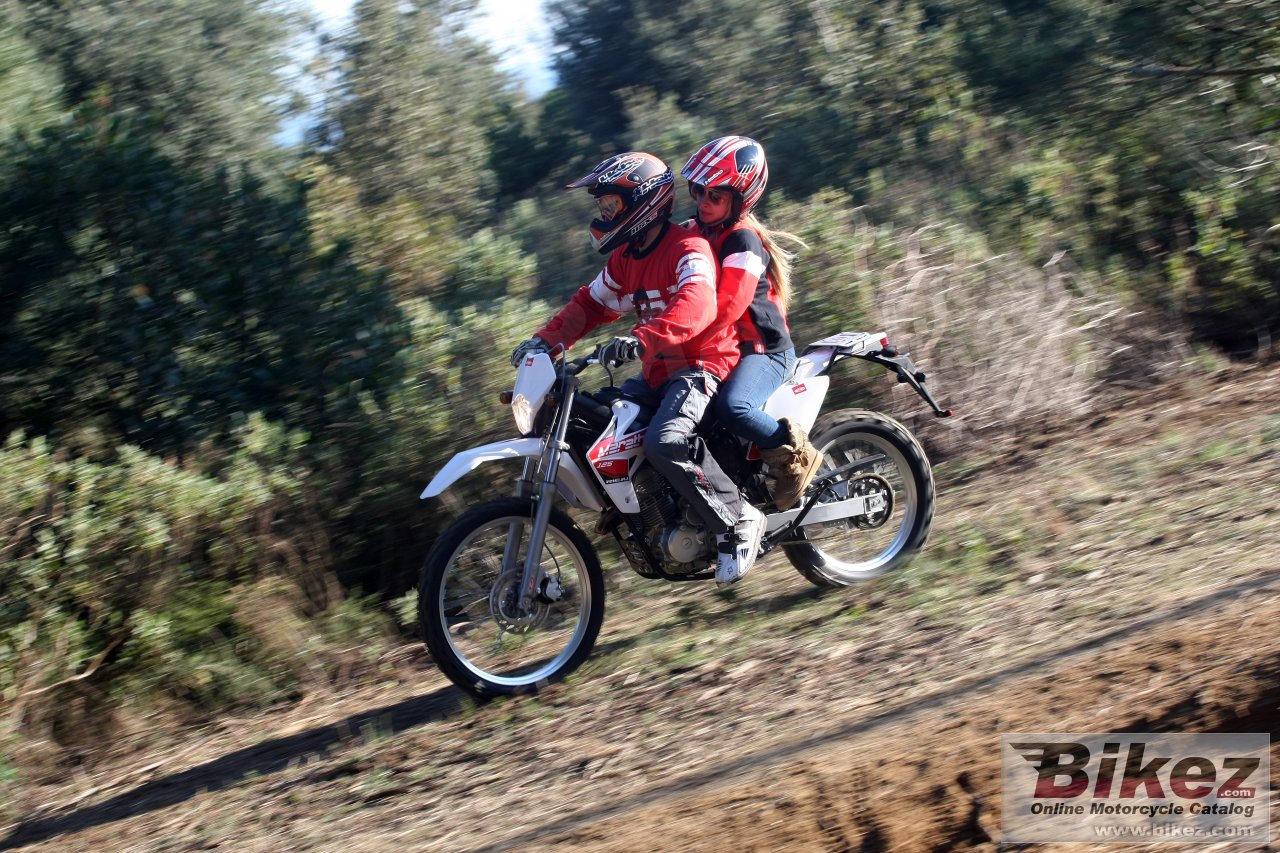 Thumbnail for Rieju Marathon 125 2013