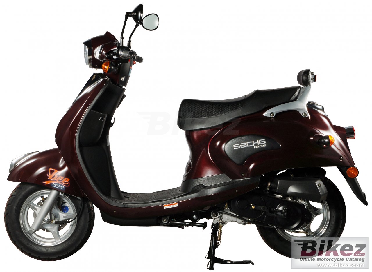 Sachs Bee (funky)