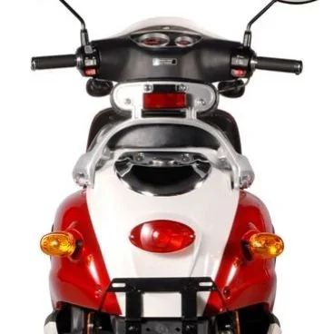 Sachs Bee 50