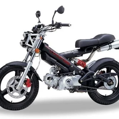 Thumbnail for Sachs Prima E 2011