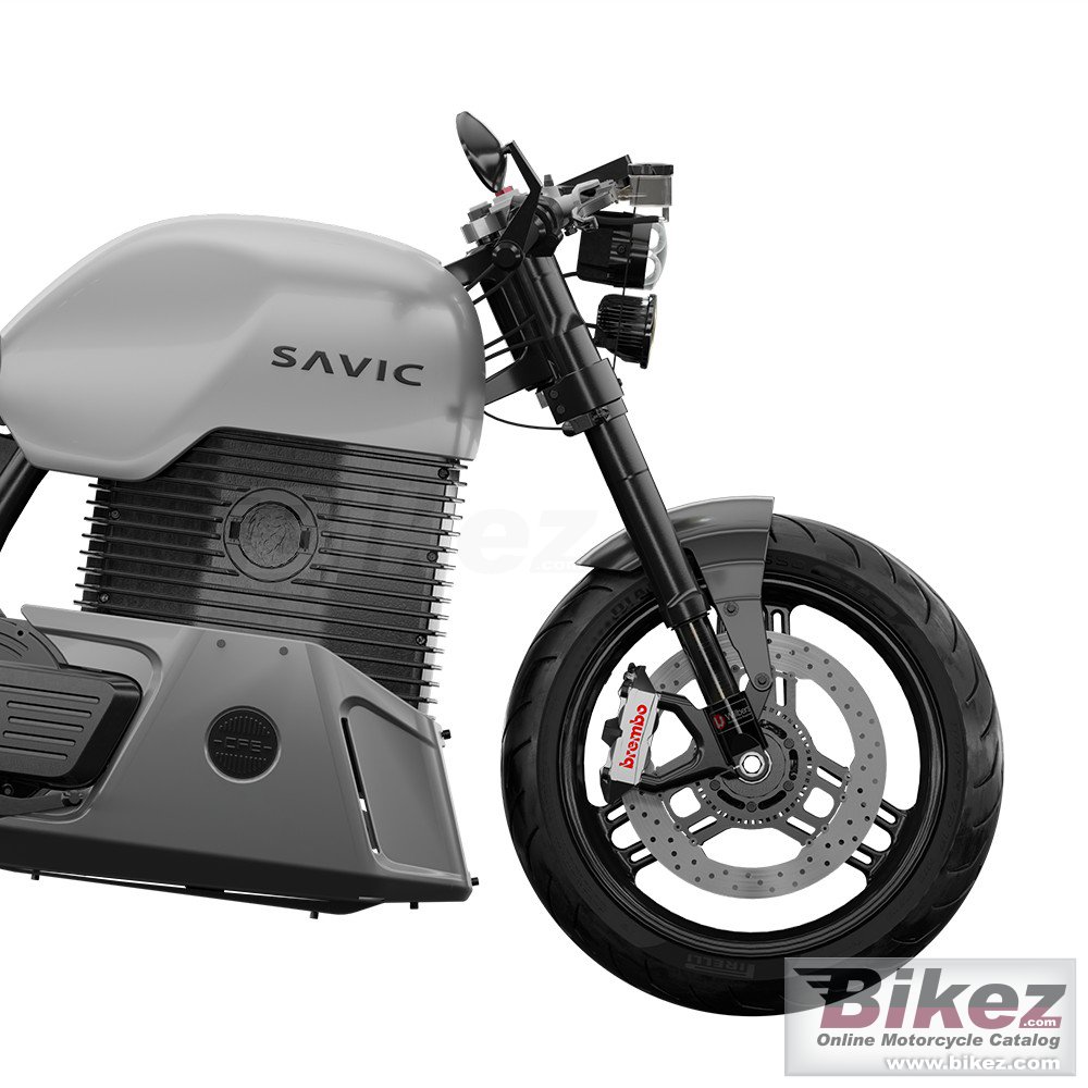 Thumbnail for Savic Delta 2023