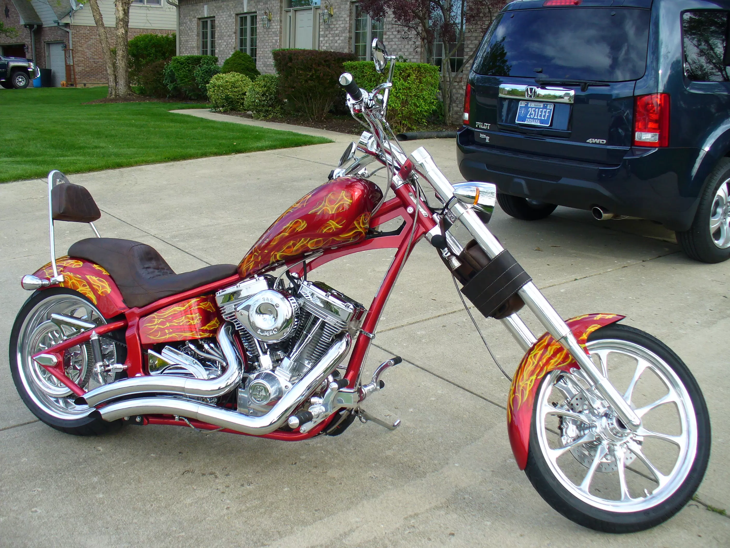 Saxon Griffin