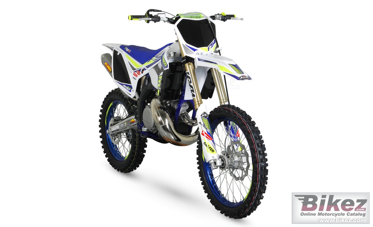 Thumbnail for Sherco 250 SC Factory 2019