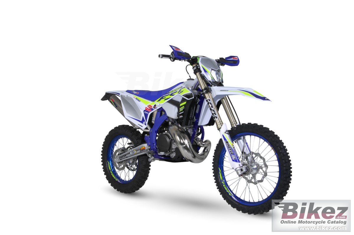 Sherco 250 SE Factory