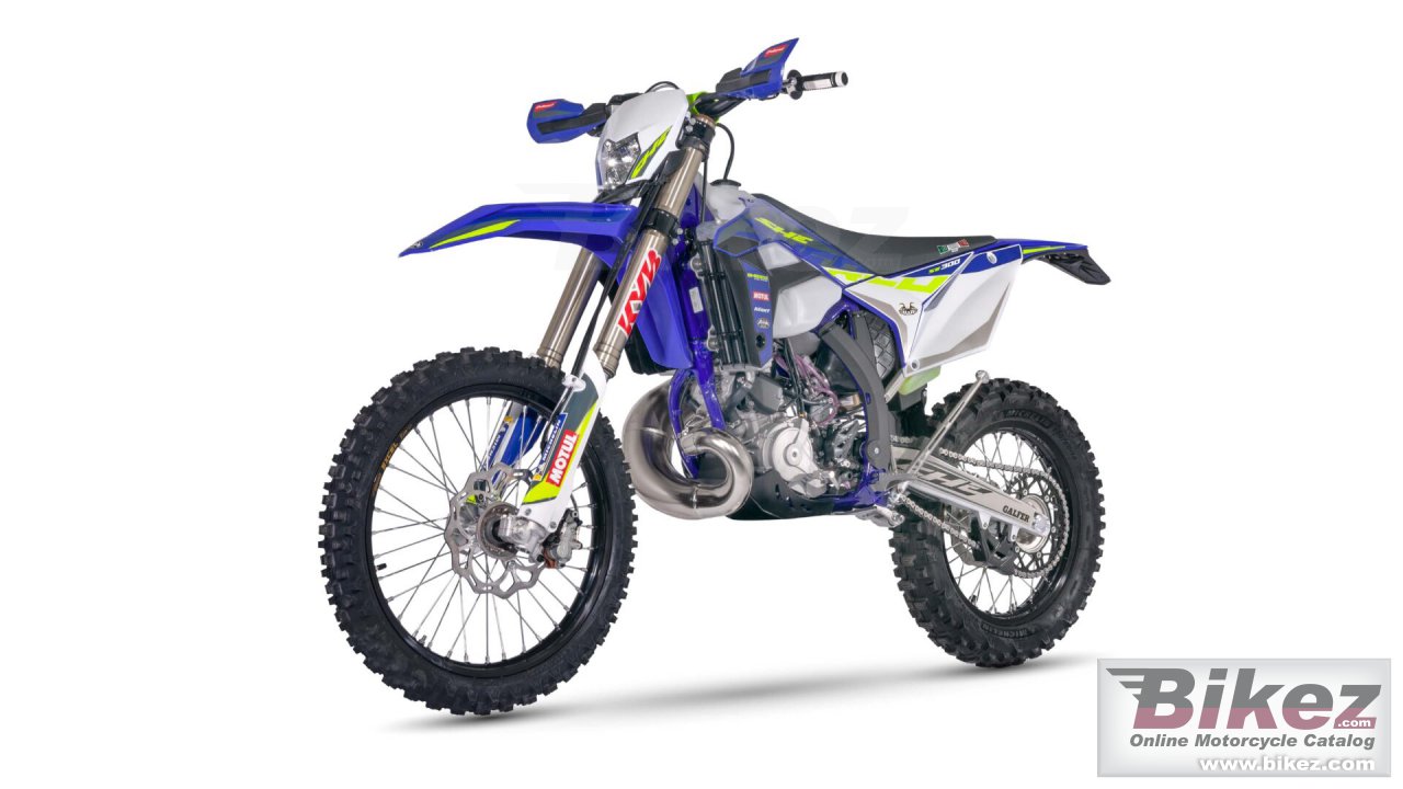 Thumbnail for Sherco 250 SE Factory 2023