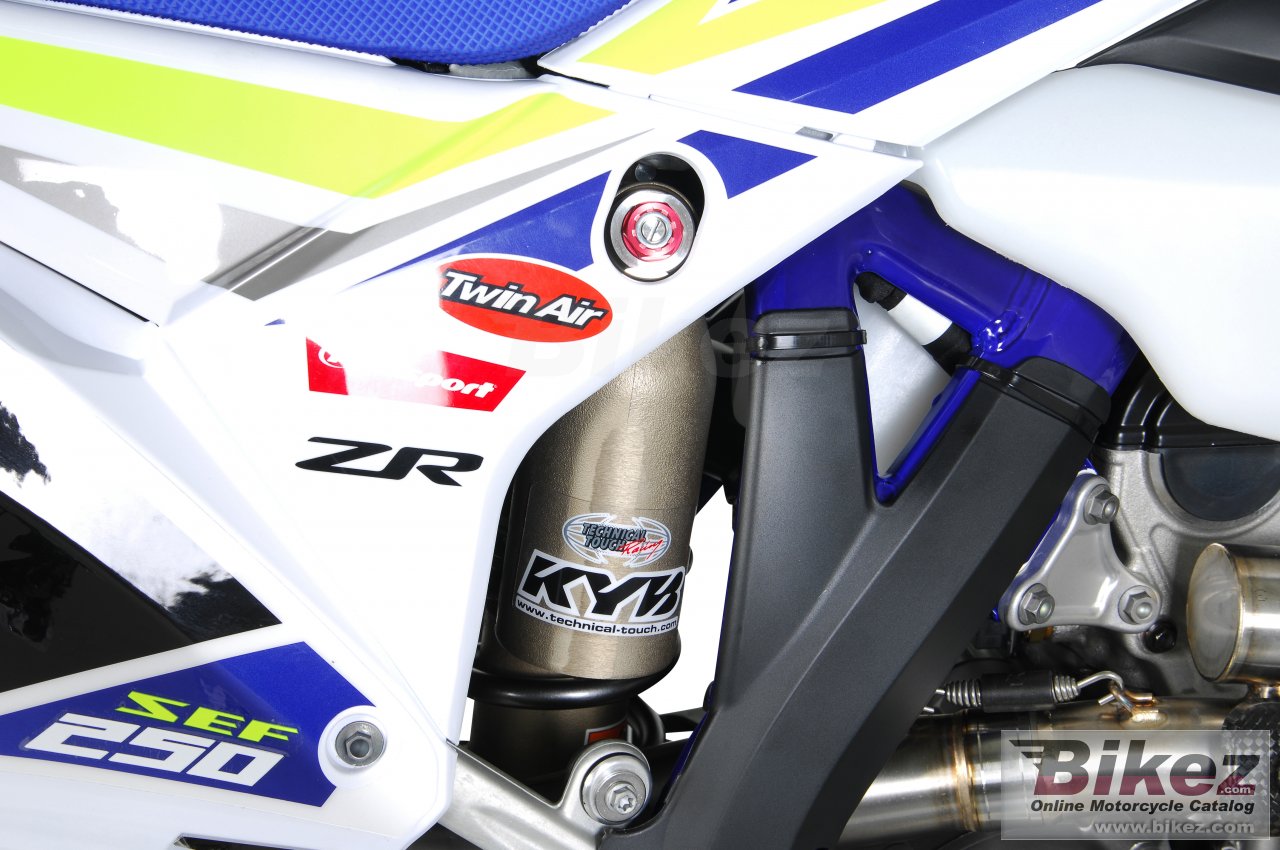 Thumbnail for Sherco 250 SEF Factory 2019