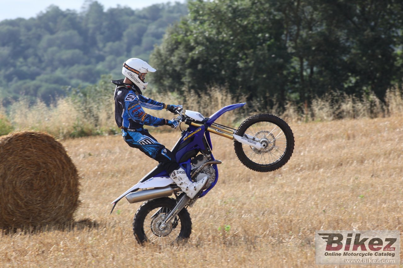 Thumbnail for Sherco SE 300i 2012