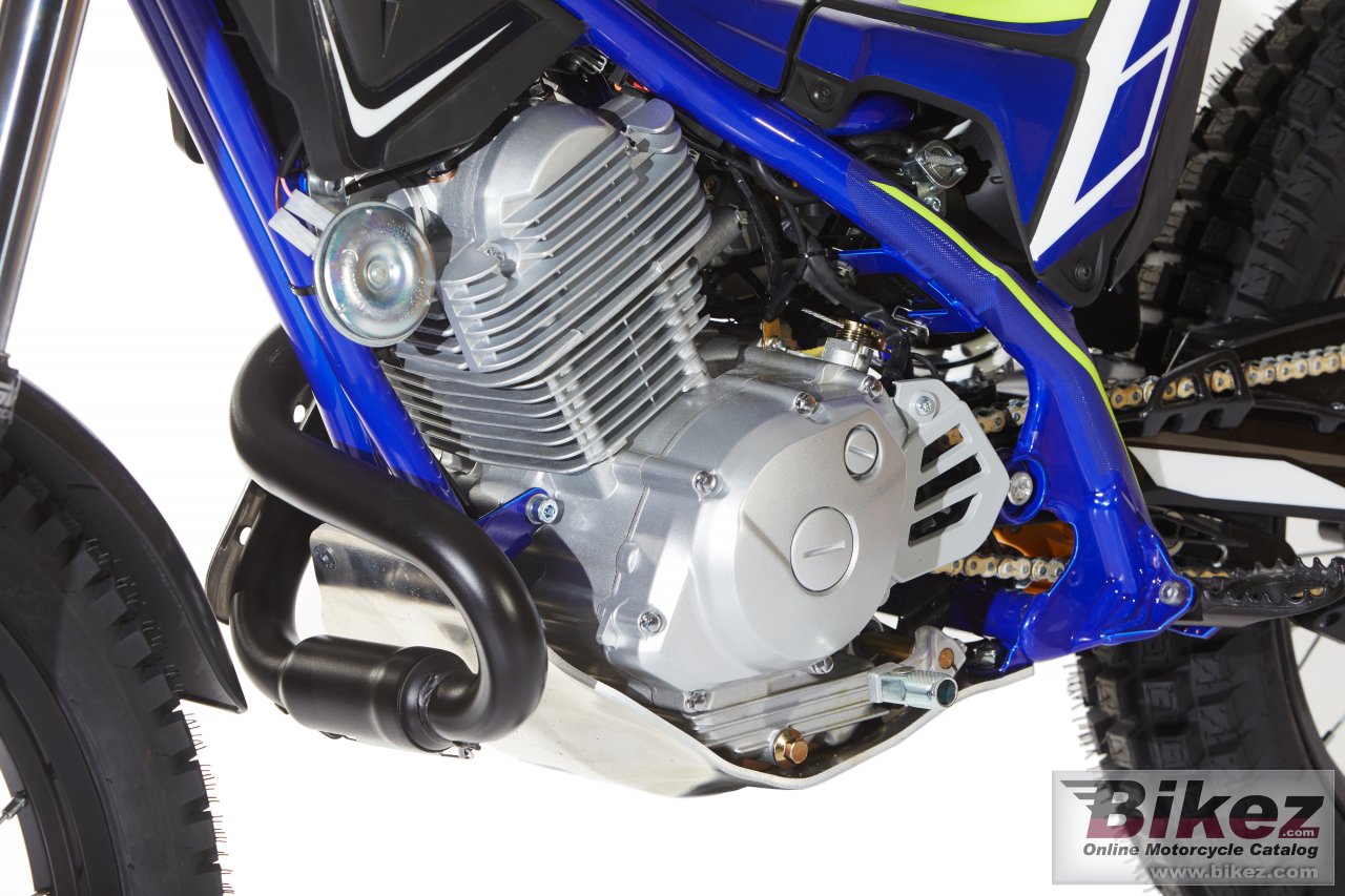 Thumbnail for Sherco TY 2019