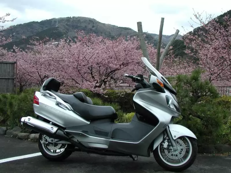 Suzuki Burgman 650AZ