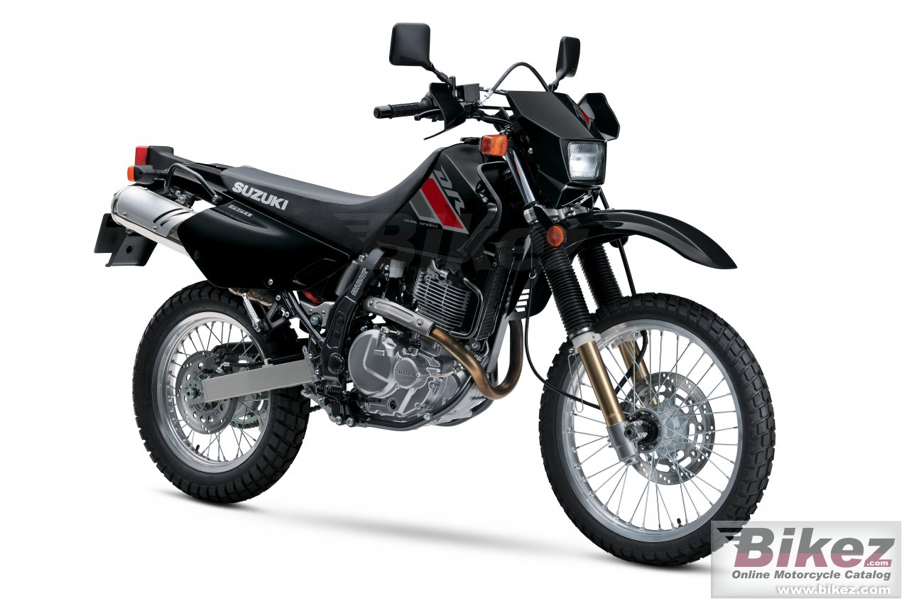 Suzuki DR650S