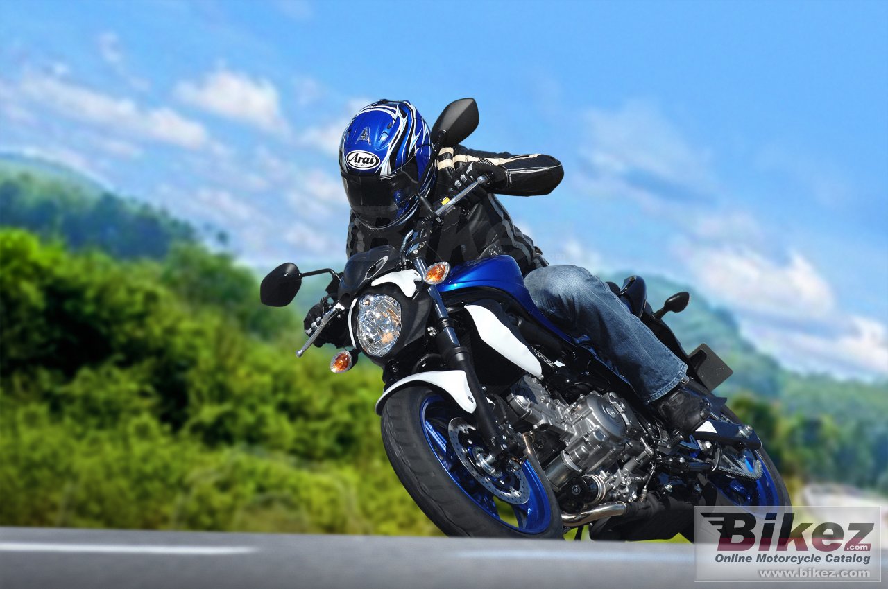 Thumbnail for Suzuki Gladius 2014