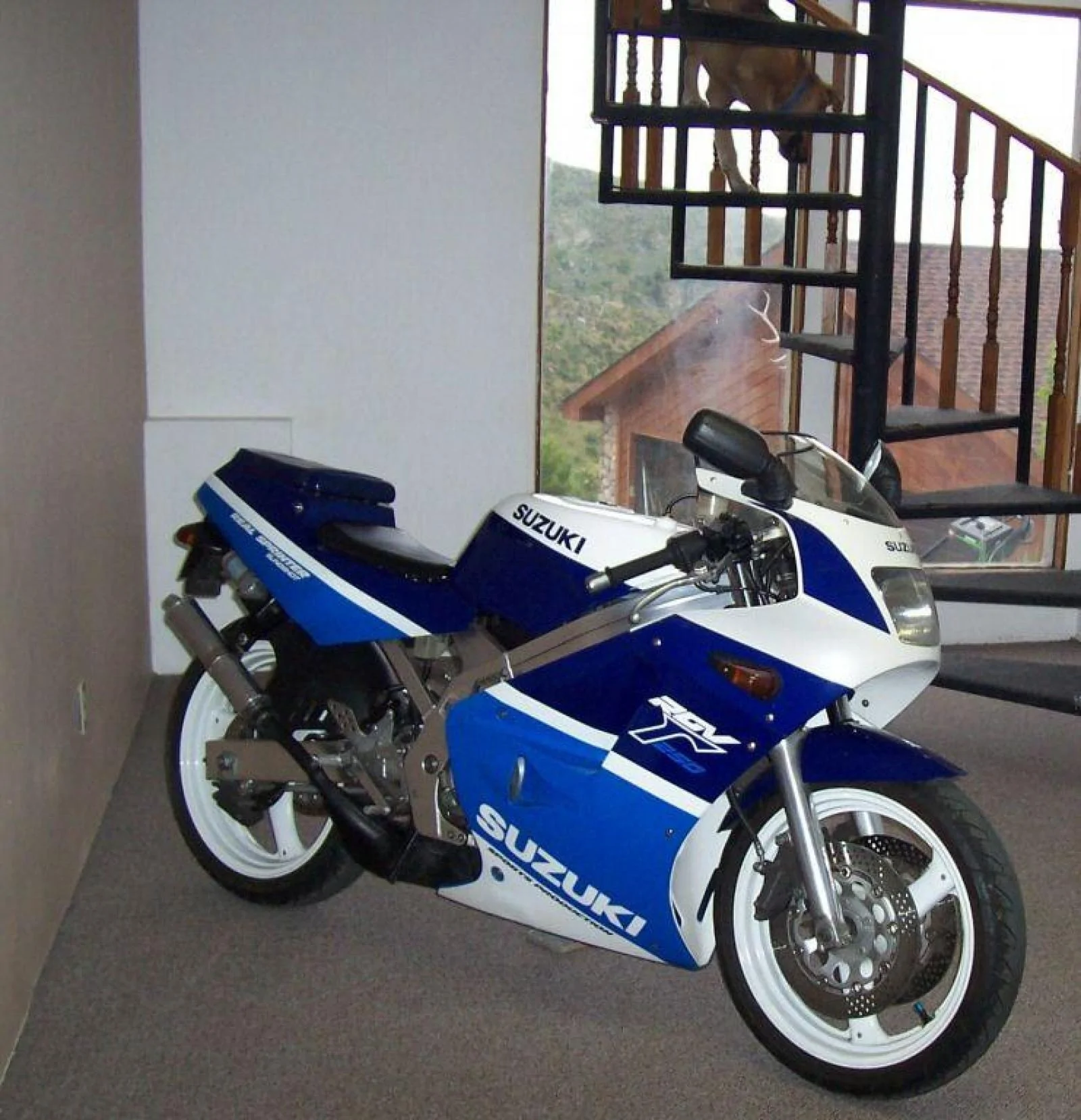 Thumbnail for Suzuki RG 250 Gamma 1988