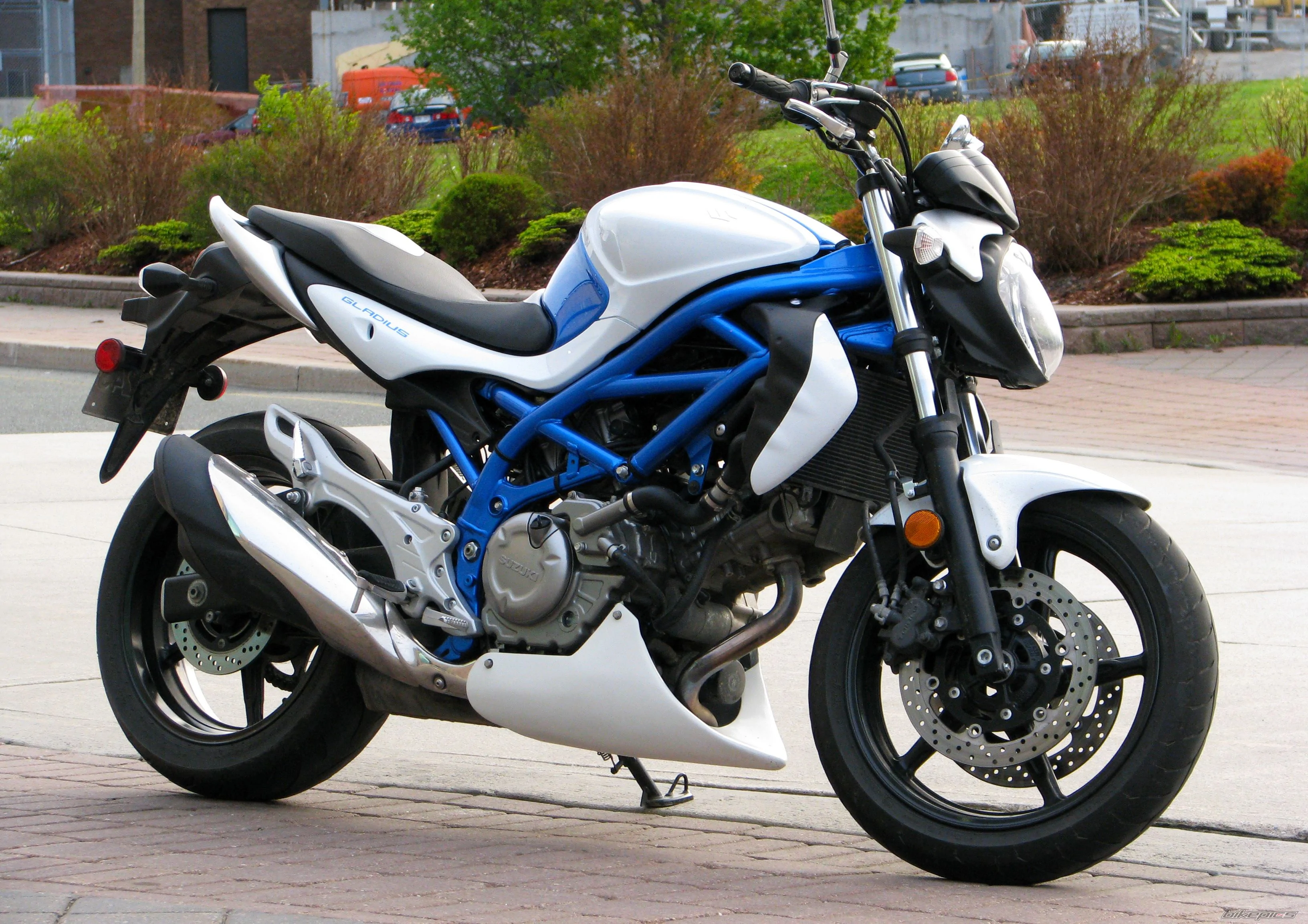 Thumbnail for Suzuki SFV650 2019