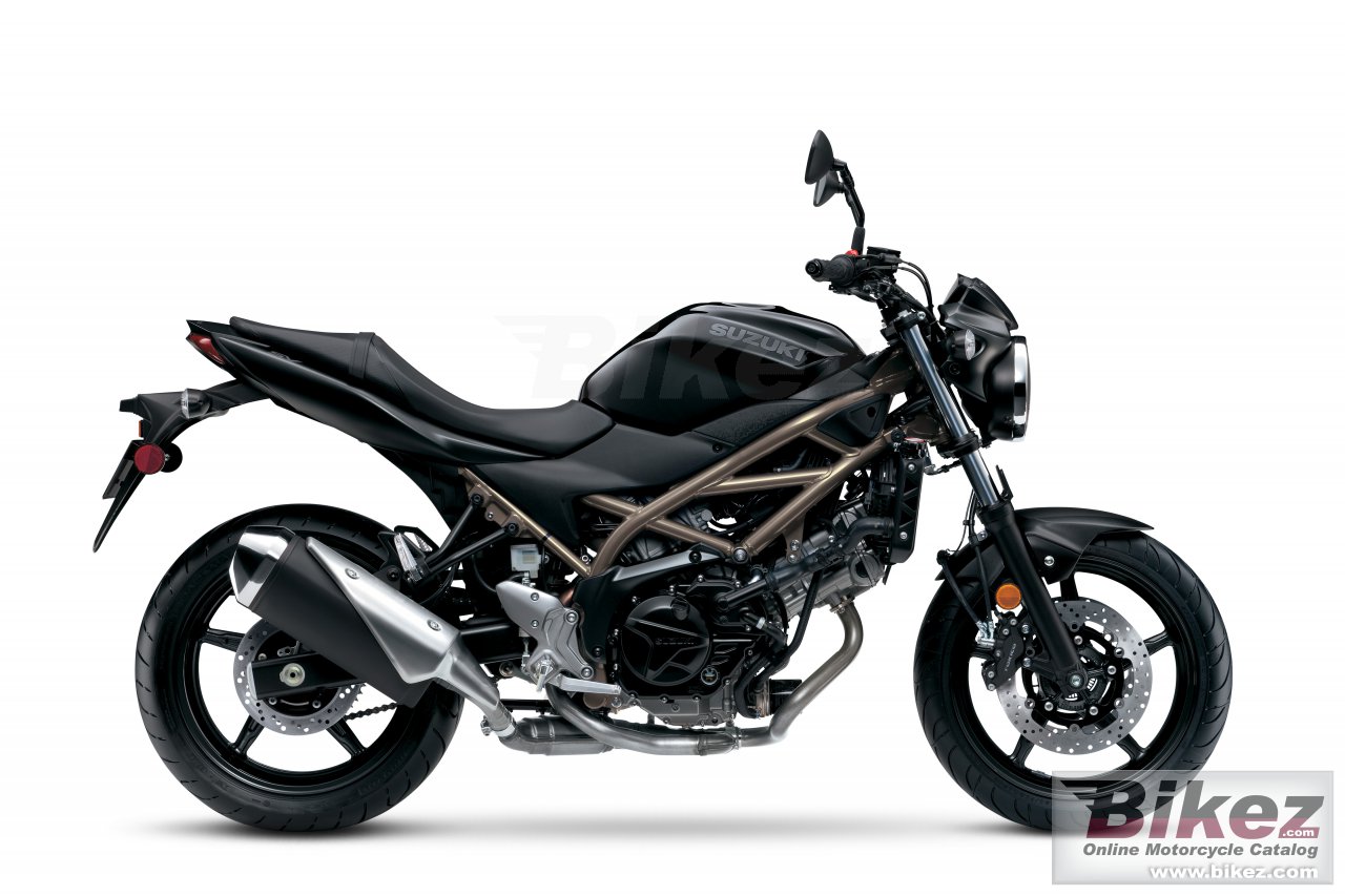 Thumbnail for Suzuki SV650 2022