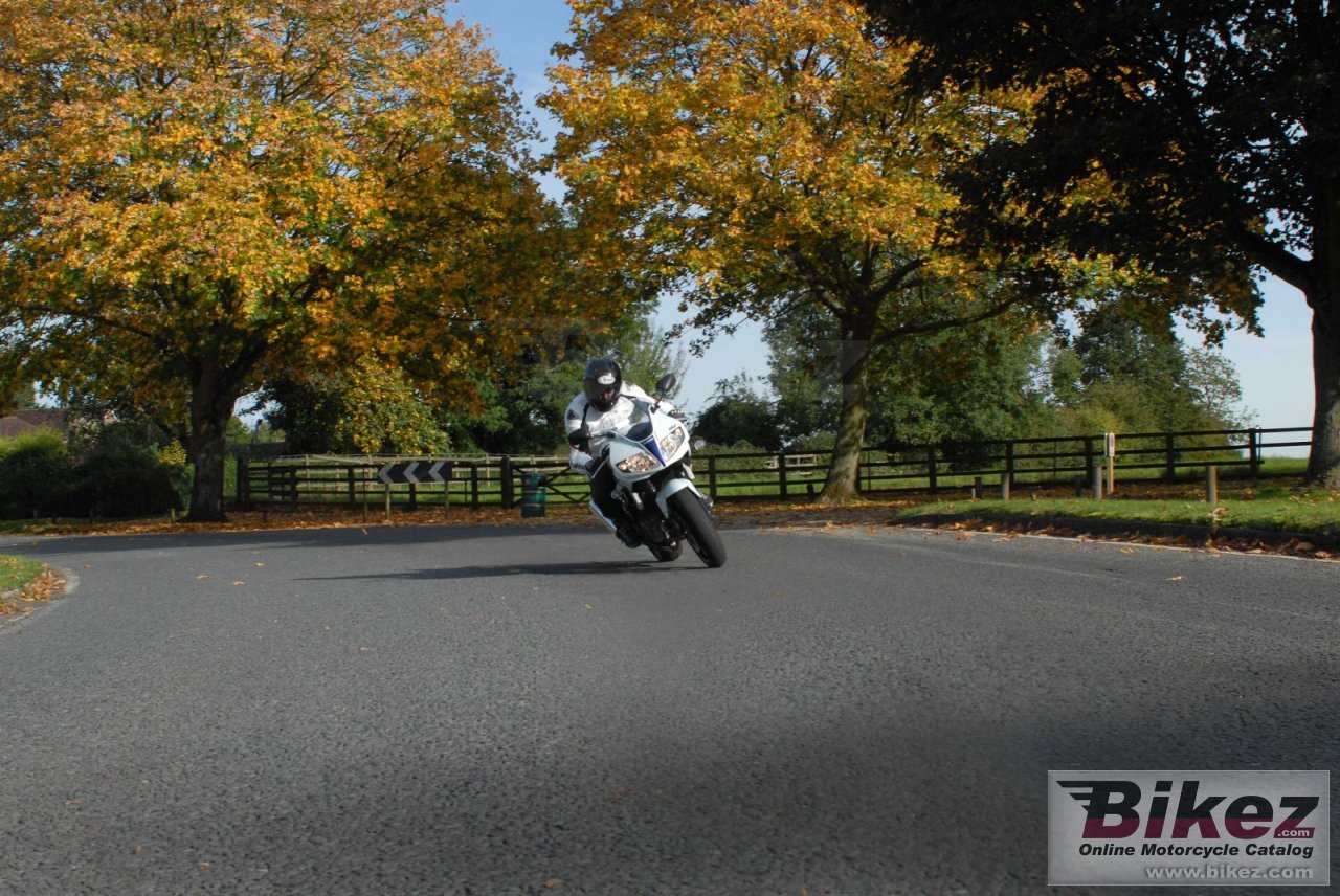 Thumbnail for Suzuki SV650S 2013