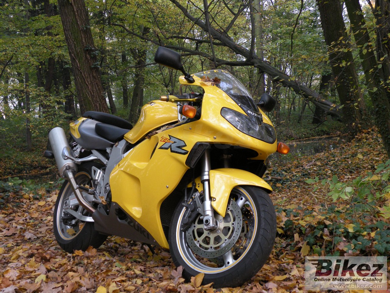 Thumbnail for Suzuki TL 1000 R 2000