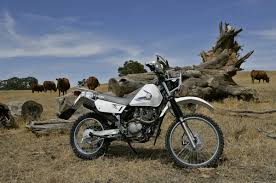 Thumbnail for Suzuki Trojan 2018