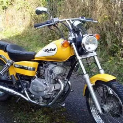 SVM S 3 250 GS