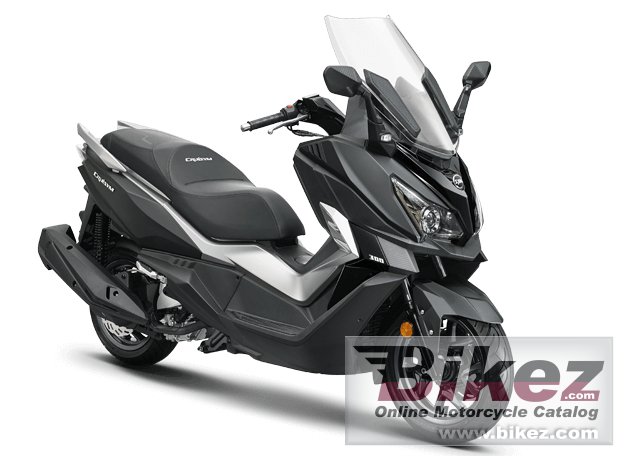 Sym Cruisym 300
