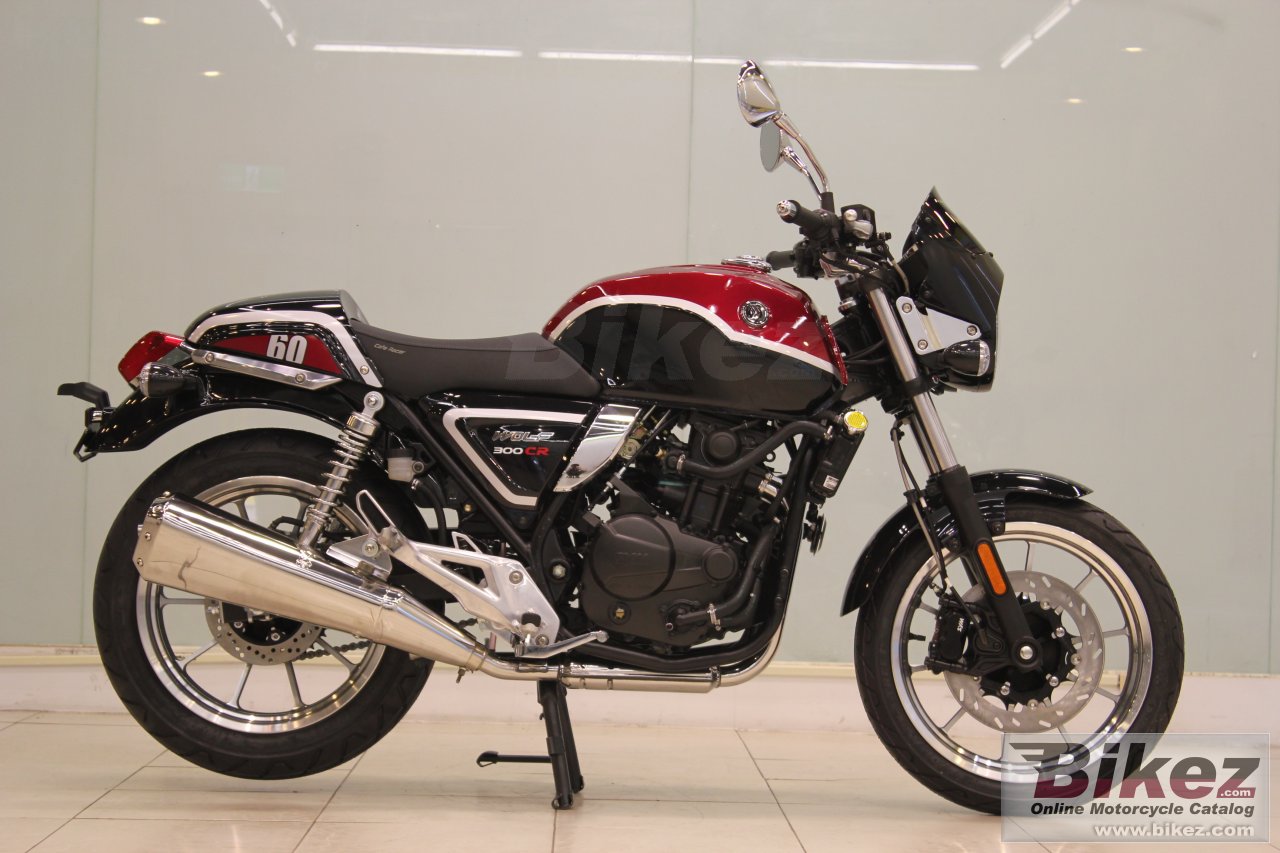 Sym Wolf 300