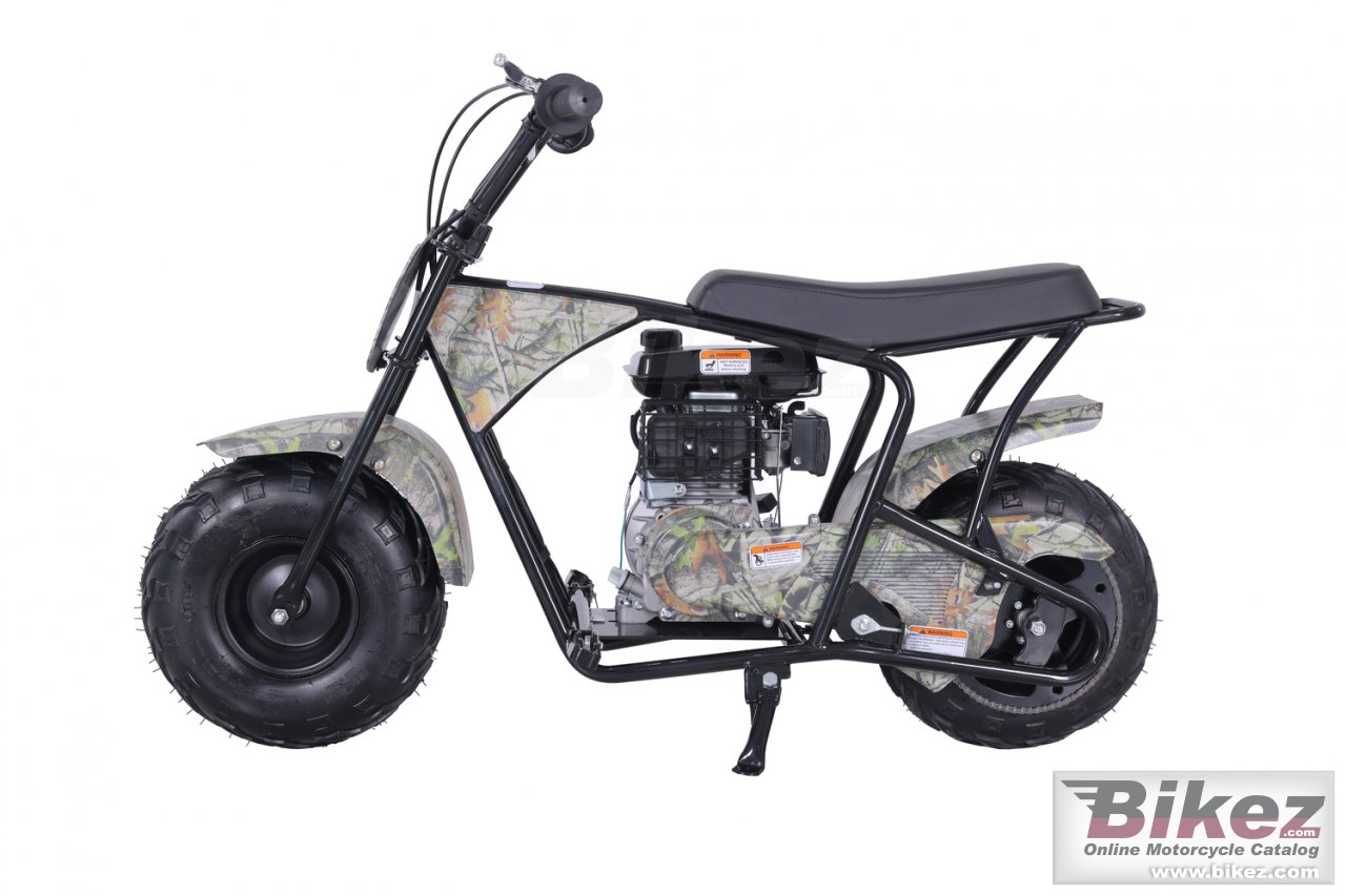 Thumbnail for Tao Motor DB100 2024