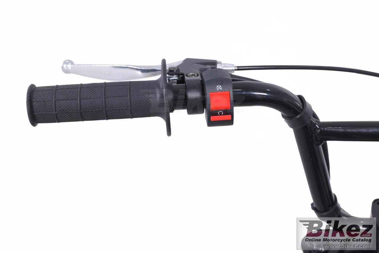 Thumbnail for Tao Motor DB100 2024