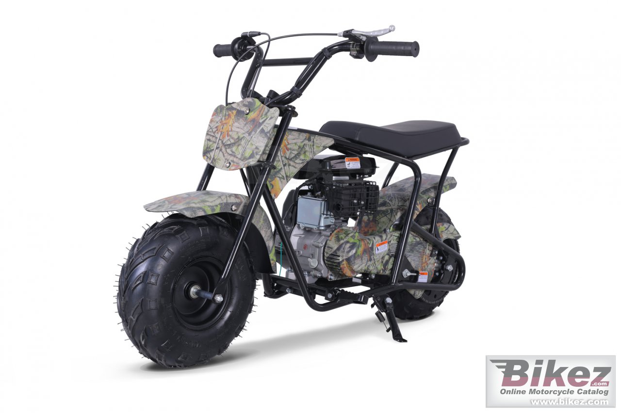 Thumbnail for Tao Motor DB100 2024
