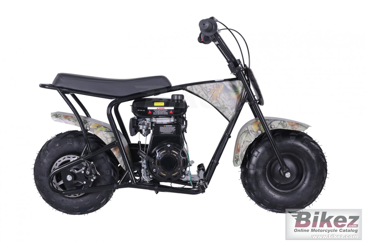 Thumbnail for Tao Motor DB100 2024