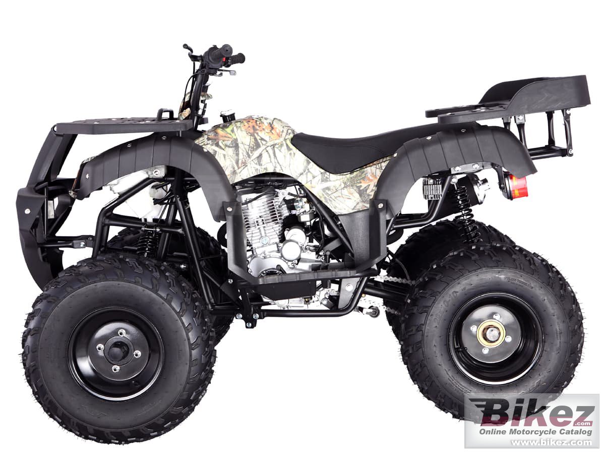 Thumbnail for Tao Motor Rhino 250 2022