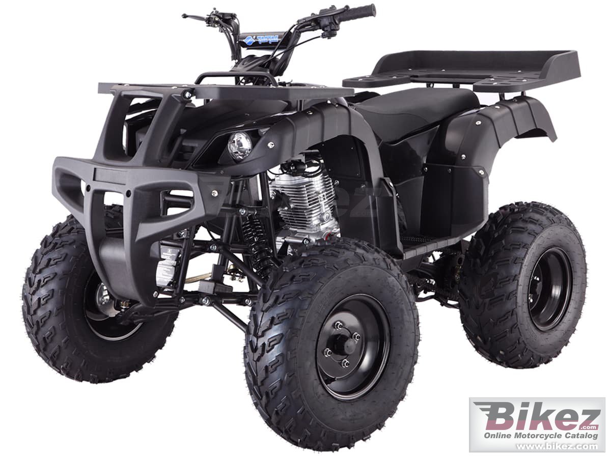 Thumbnail for Tao Motor Rhino 250 2022