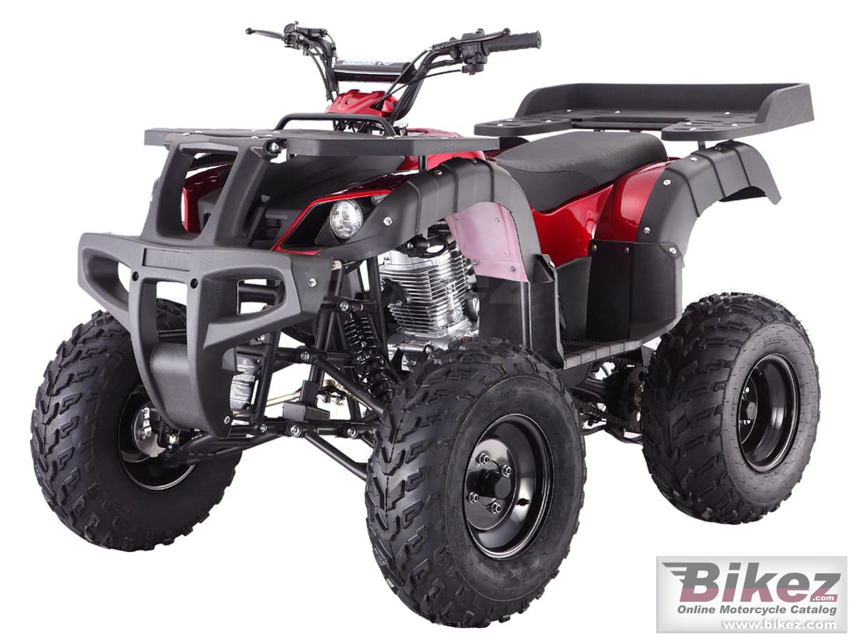Thumbnail for Tao Motor Rhino 250 2022