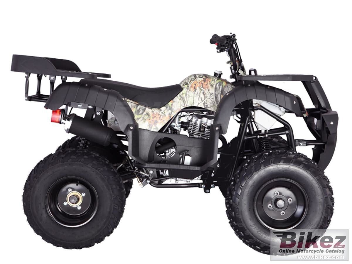 Thumbnail for Tao Motor Rhino 250 2022