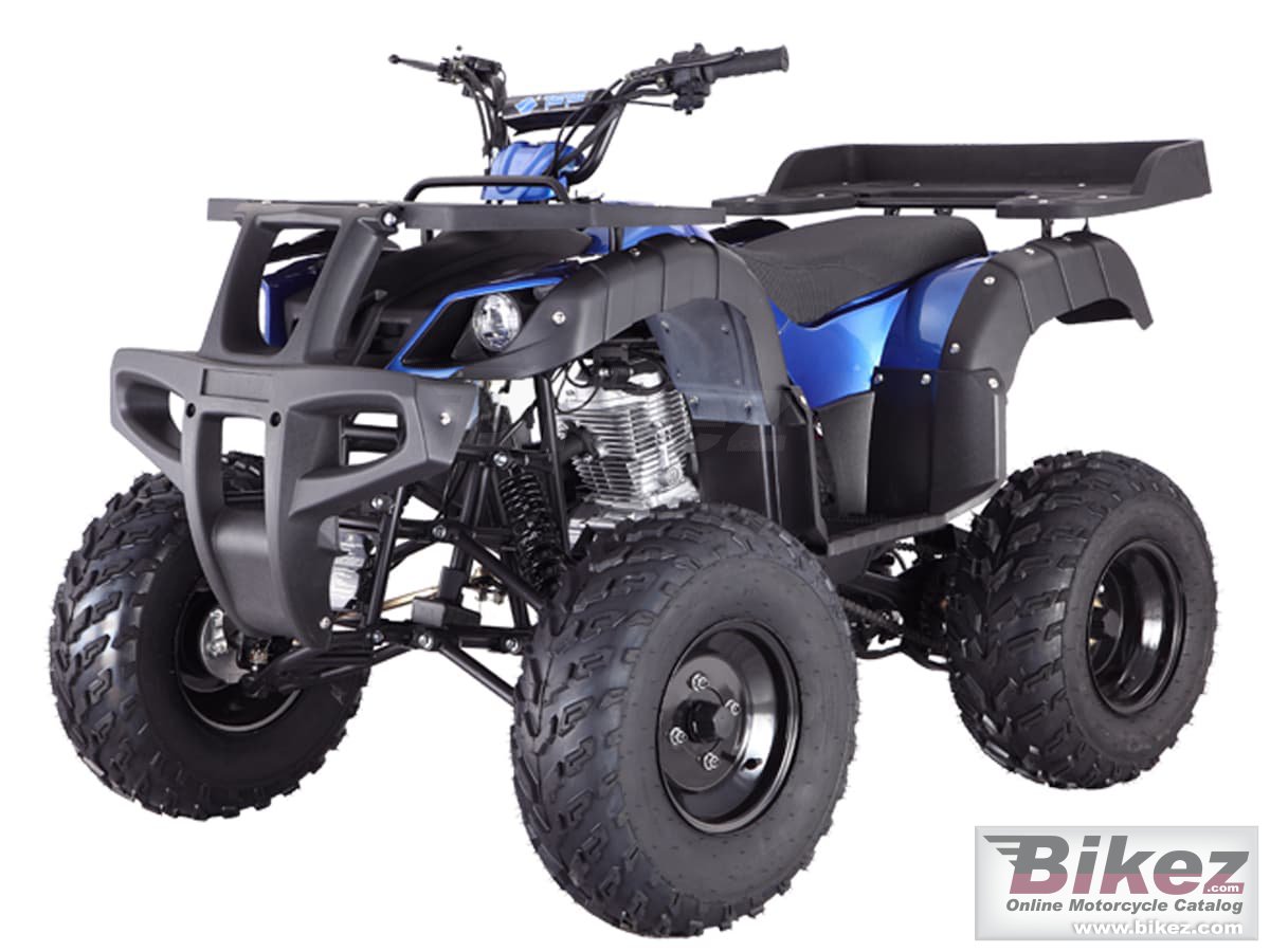 Thumbnail for Tao Motor Rhino 250 2022