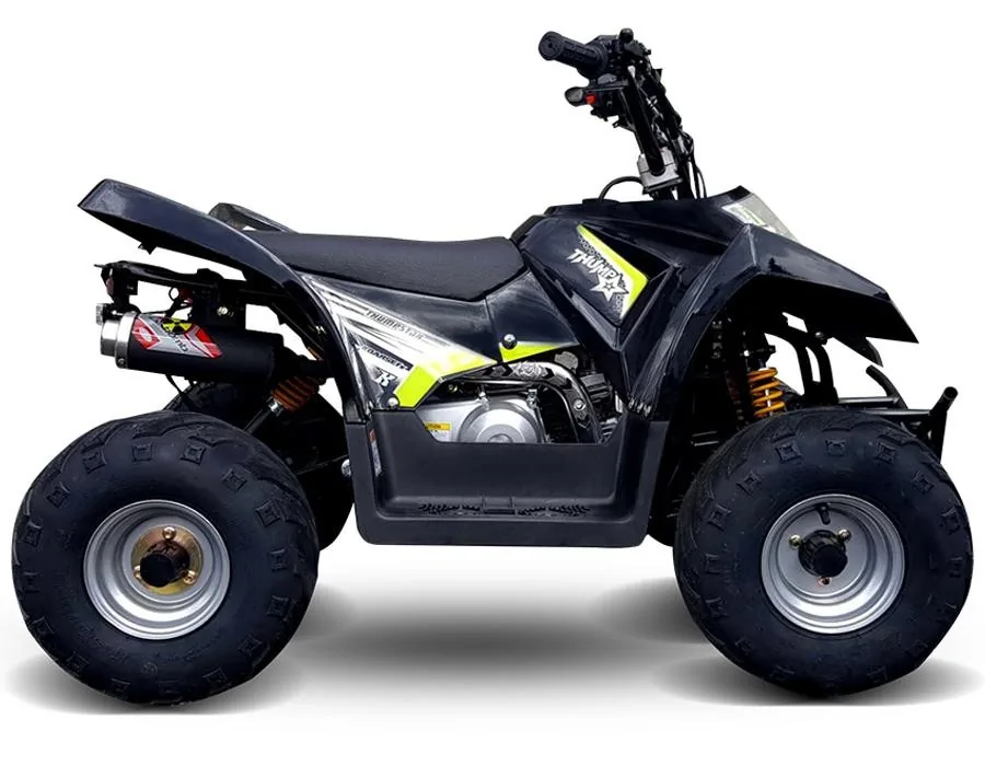 Thumbnail for Thumpstar ATV 250 2020