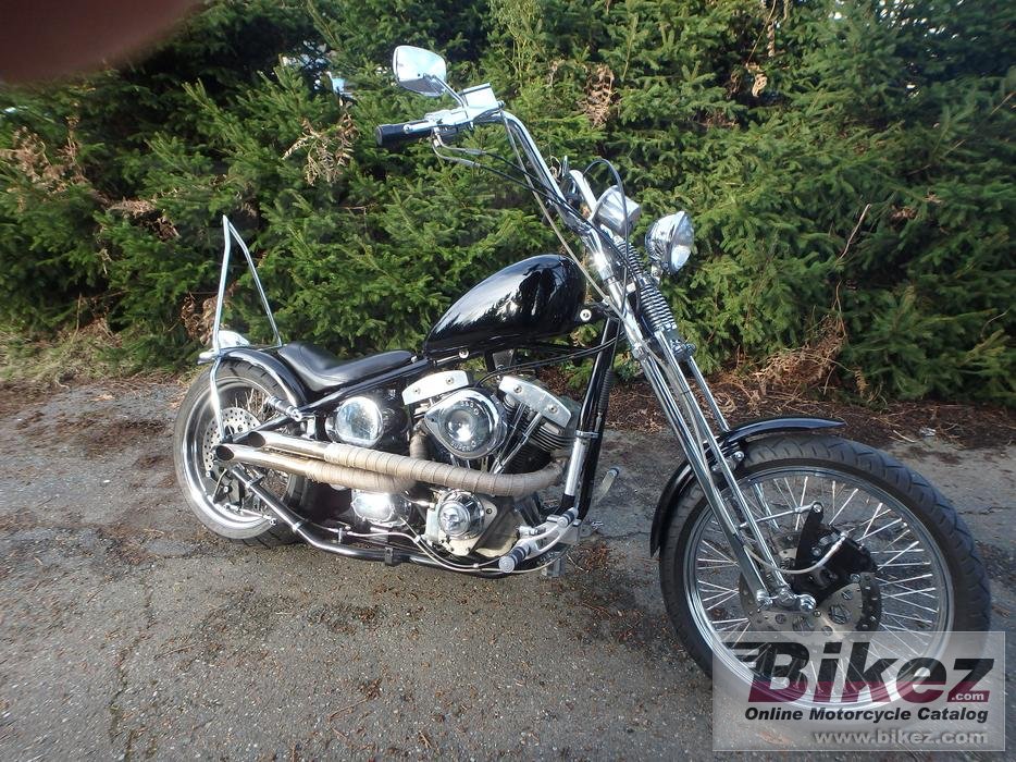 Titan Von Zipper Bobber