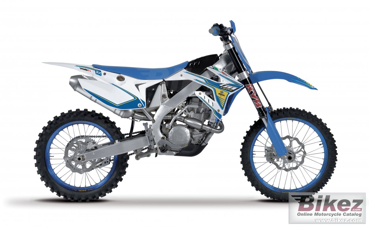 Thumbnail for TM Racing MX 250 2017