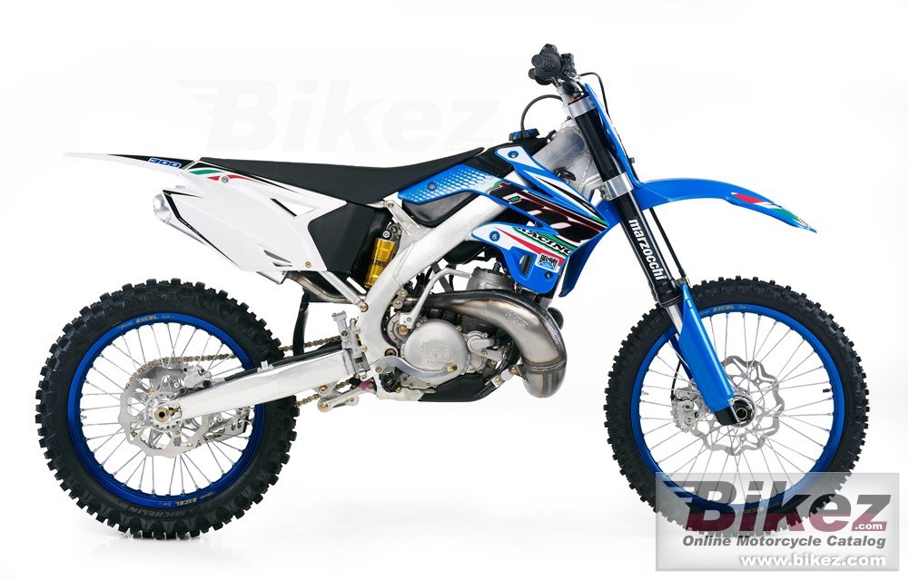 TM Racing MX 300