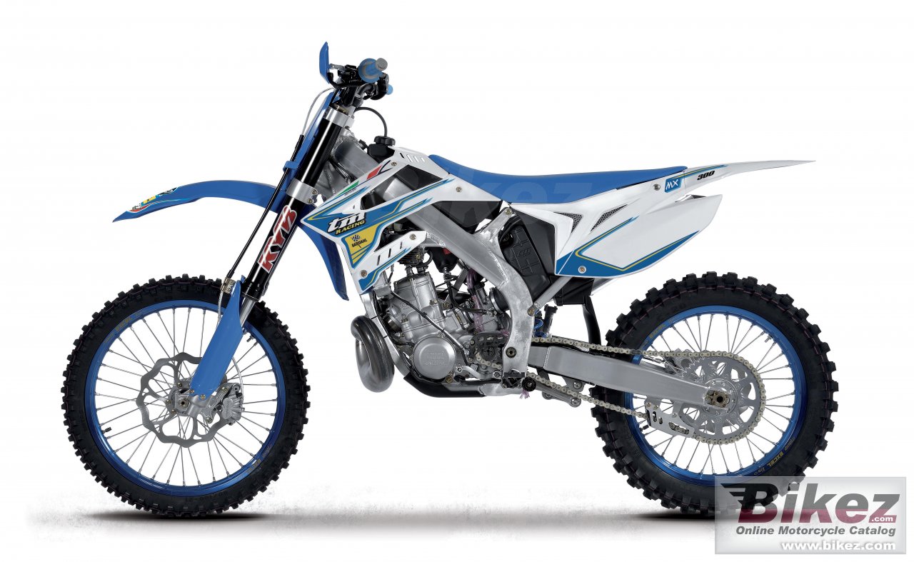 Thumbnail for TM Racing MX 300 2017