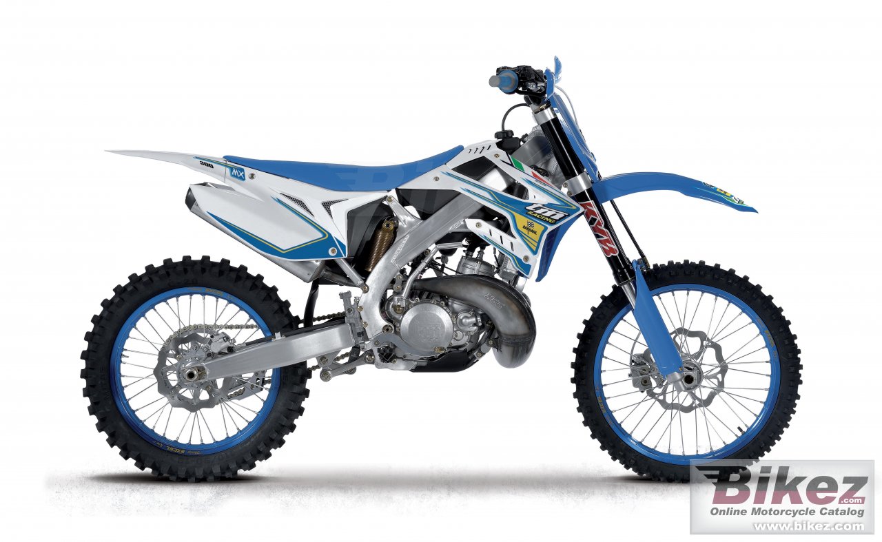 Thumbnail for TM Racing MX 300 2017