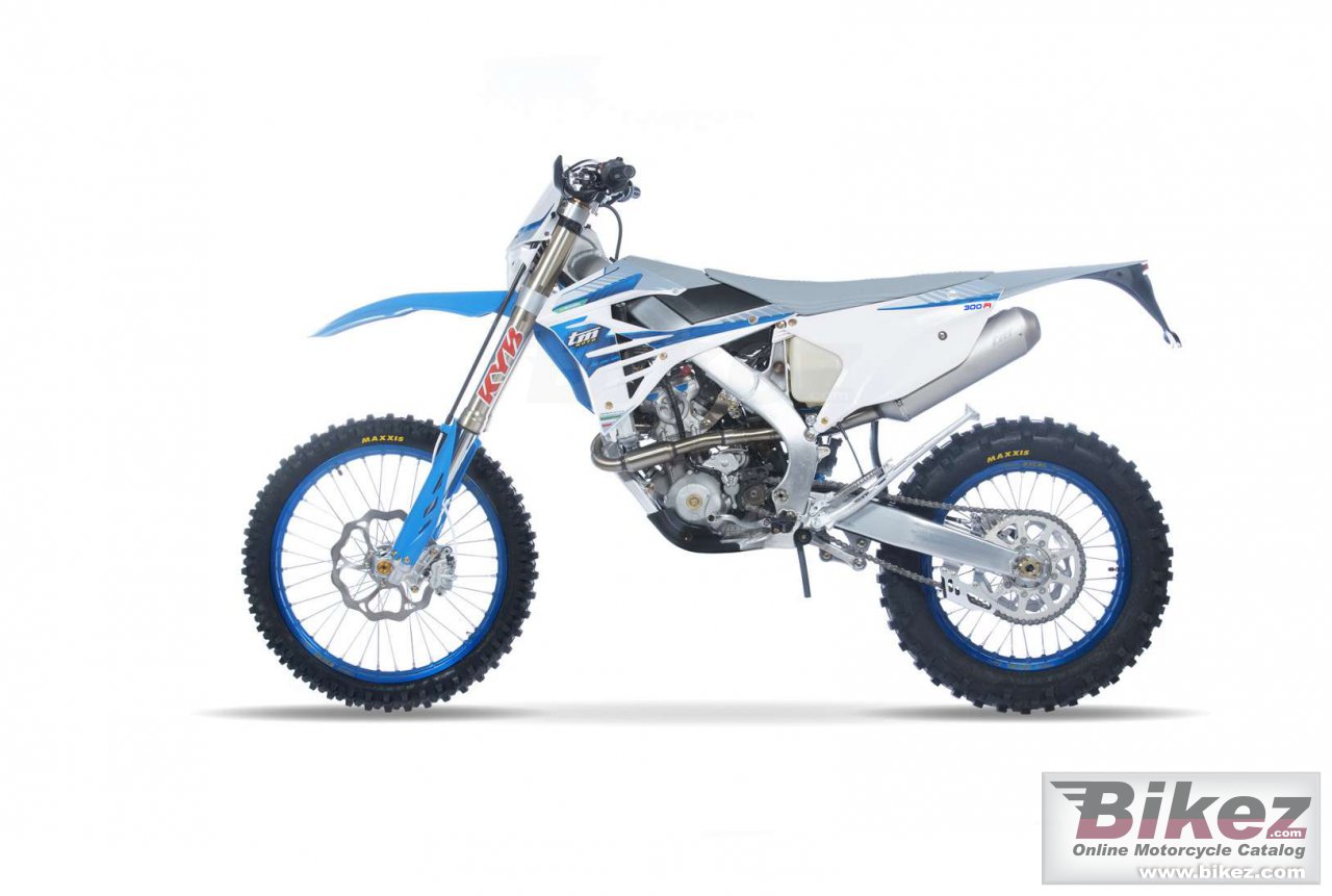 Thumbnail for TM Racing MX 300 ES Fi 4T 2024