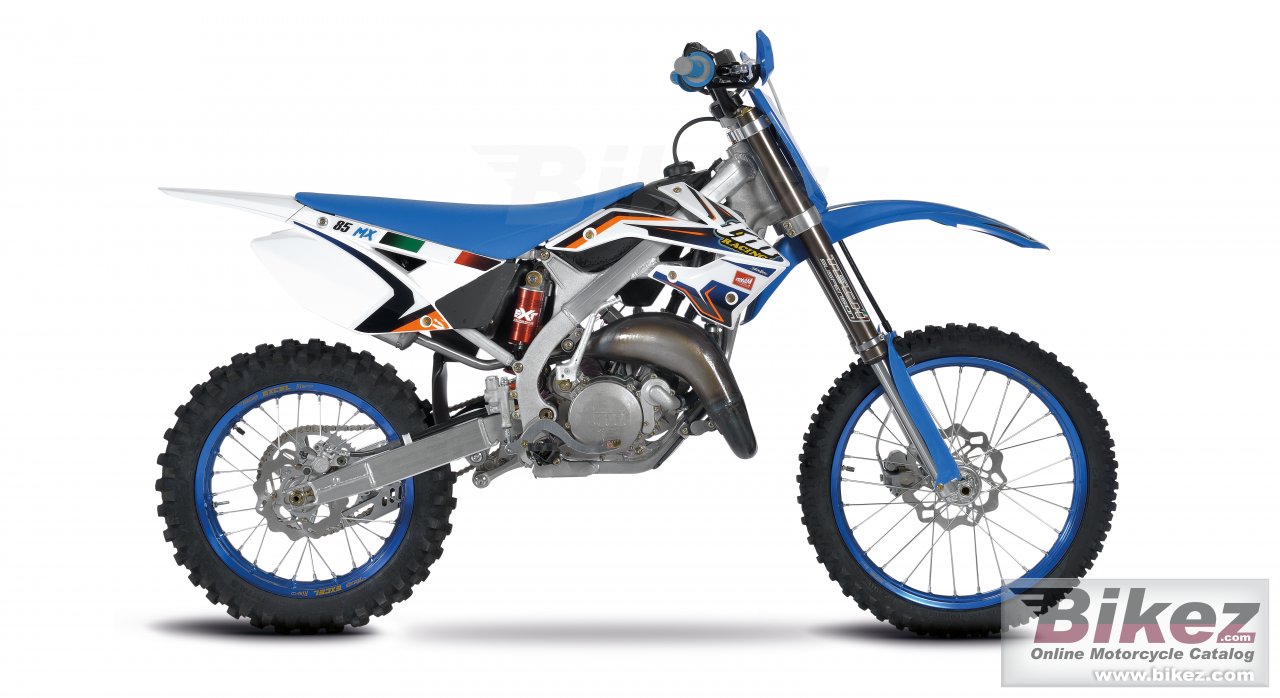 Thumbnail for TM Racing MX Junior 2016