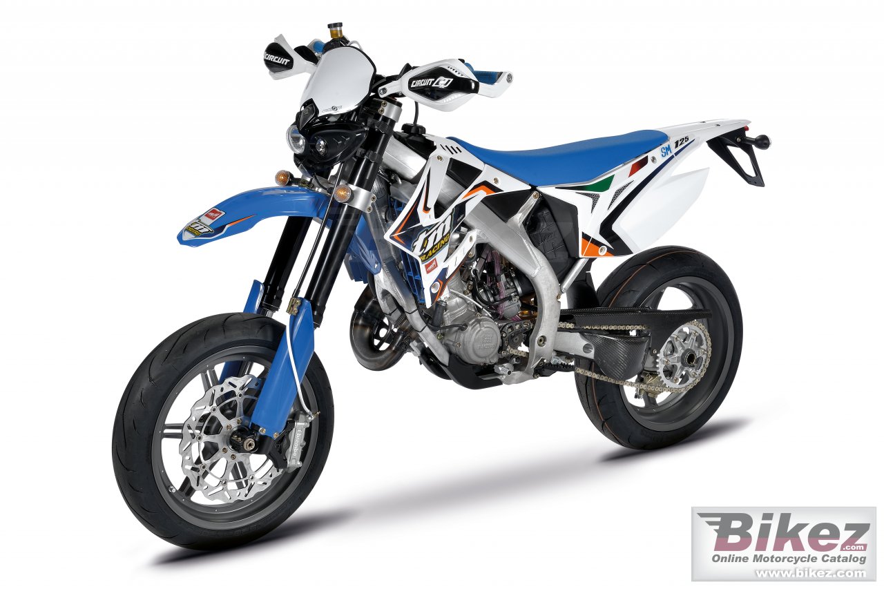 Thumbnail for TM Racing SMM 125 2016