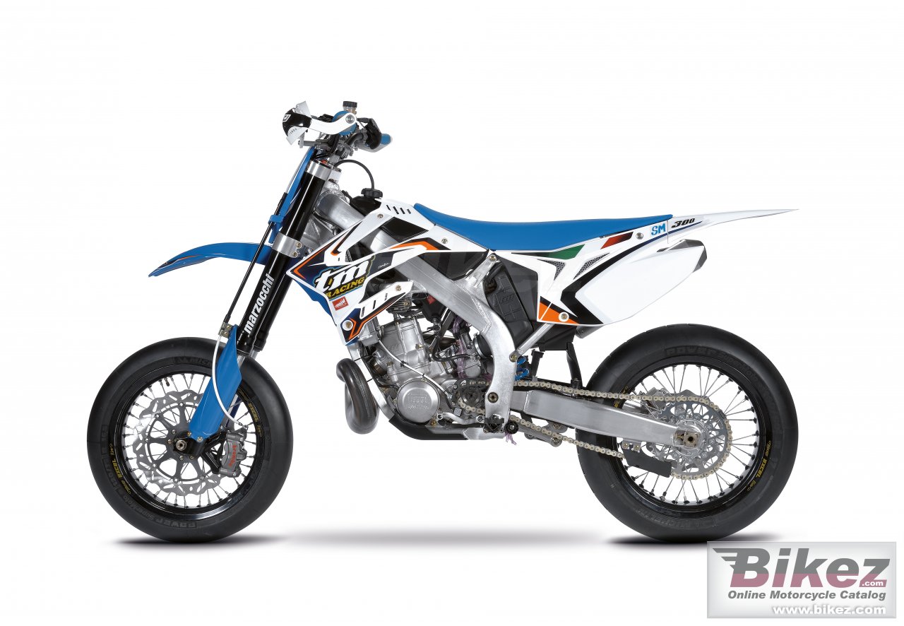 Thumbnail for TM Racing SMX 300 2016