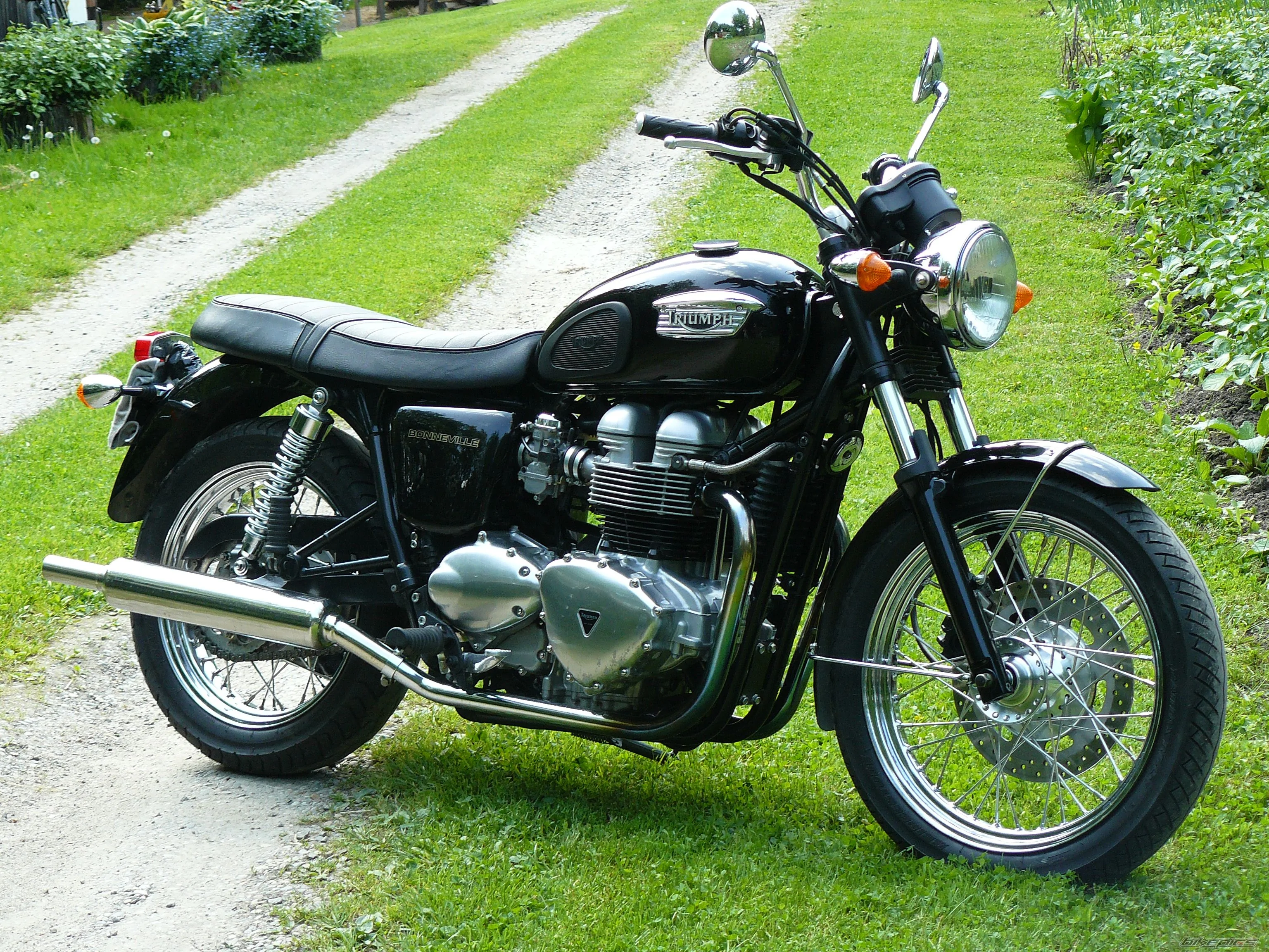 Thumbnail for Triumph Bonneville 2004