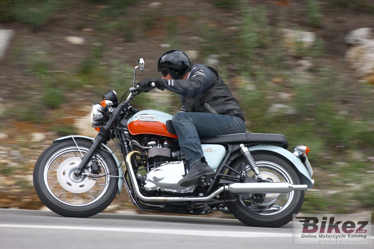 Thumbnail for Triumph Bonneville 50th 2009