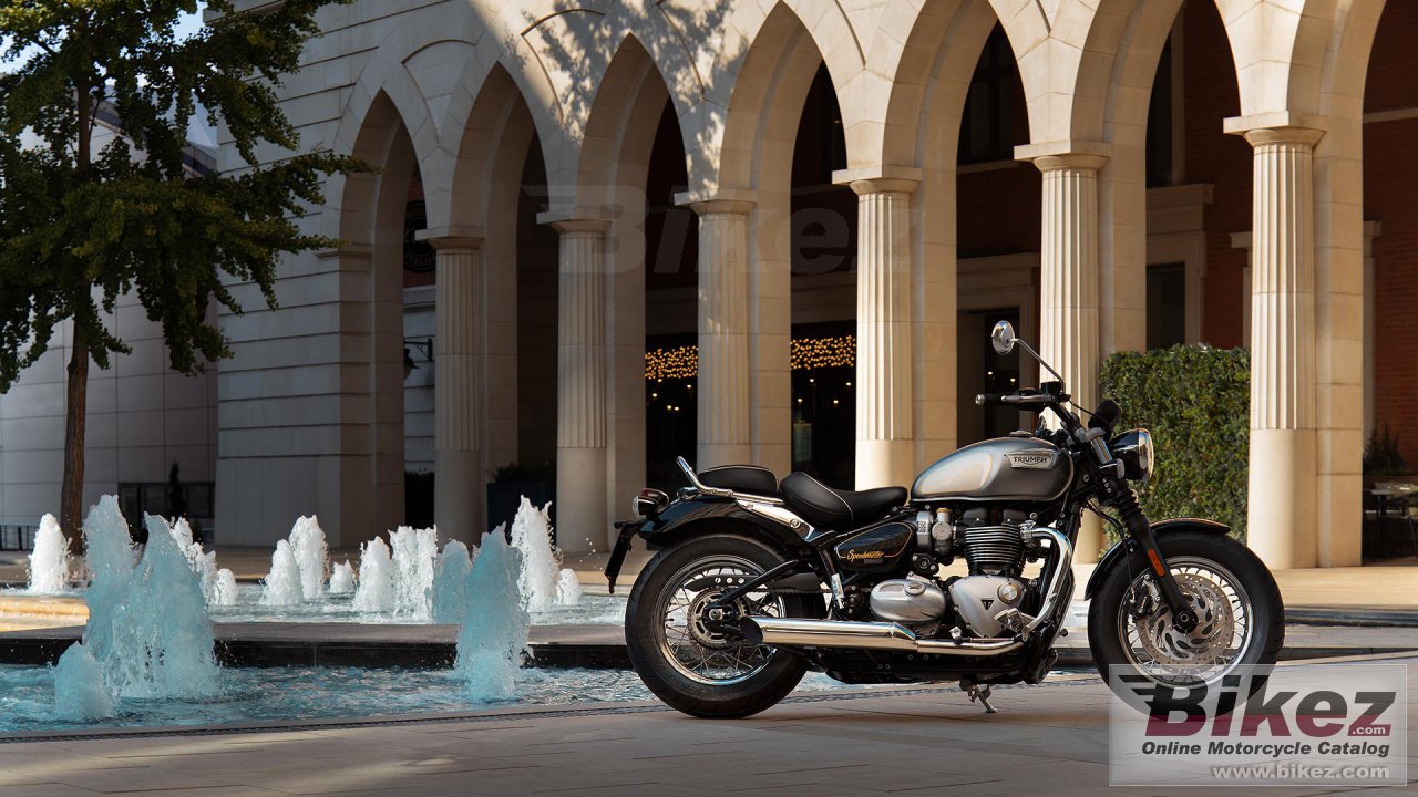 Thumbnail for Triumph Bonneville Speedmaster Gold Line 2023