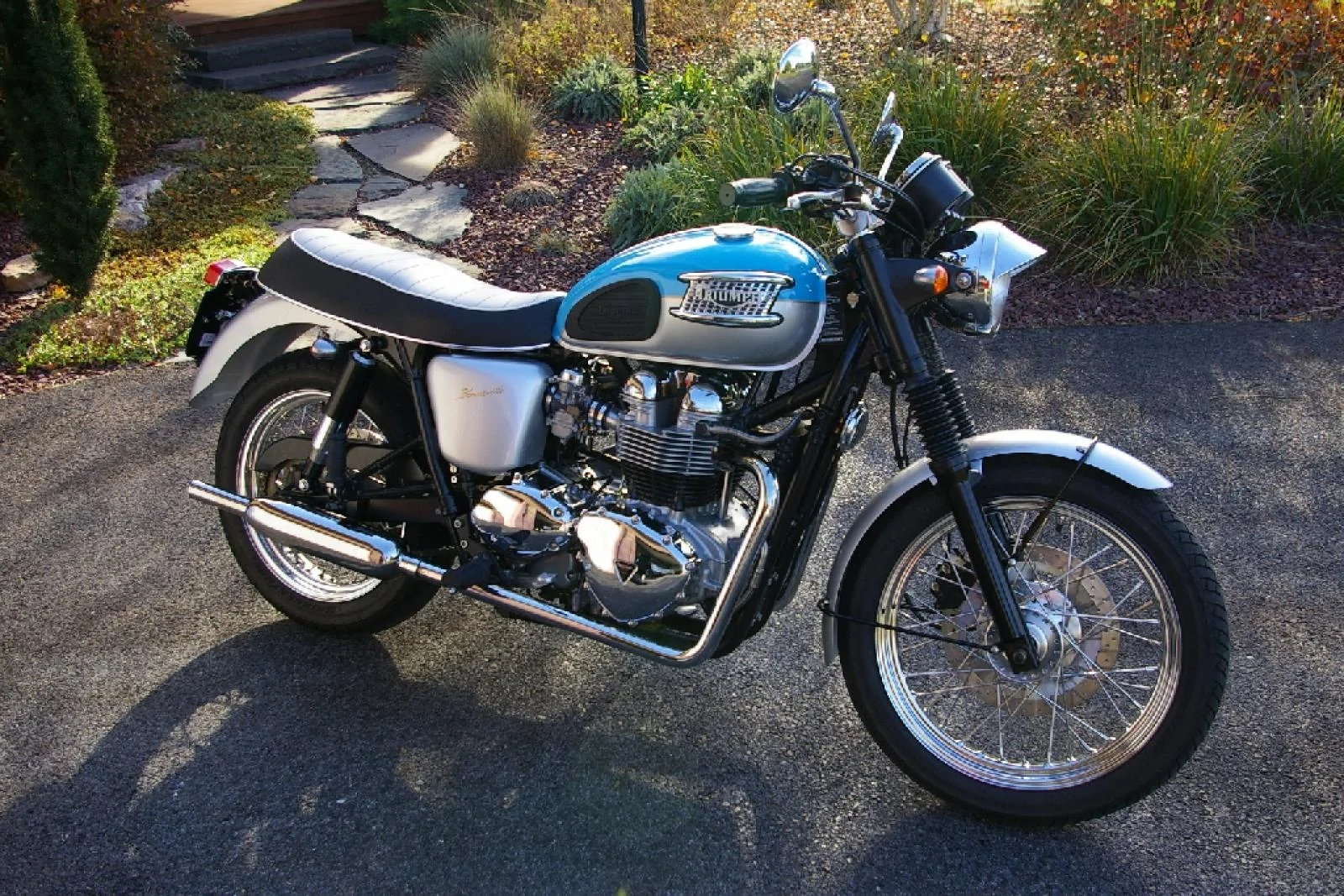 Thumbnail for Triumph Bonneville T100 2004