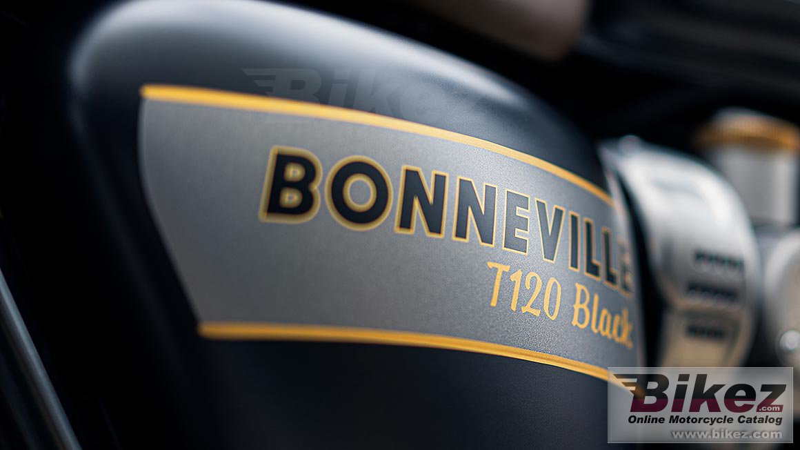 Thumbnail for Triumph Bonneville T120 Black Gold Line 2023