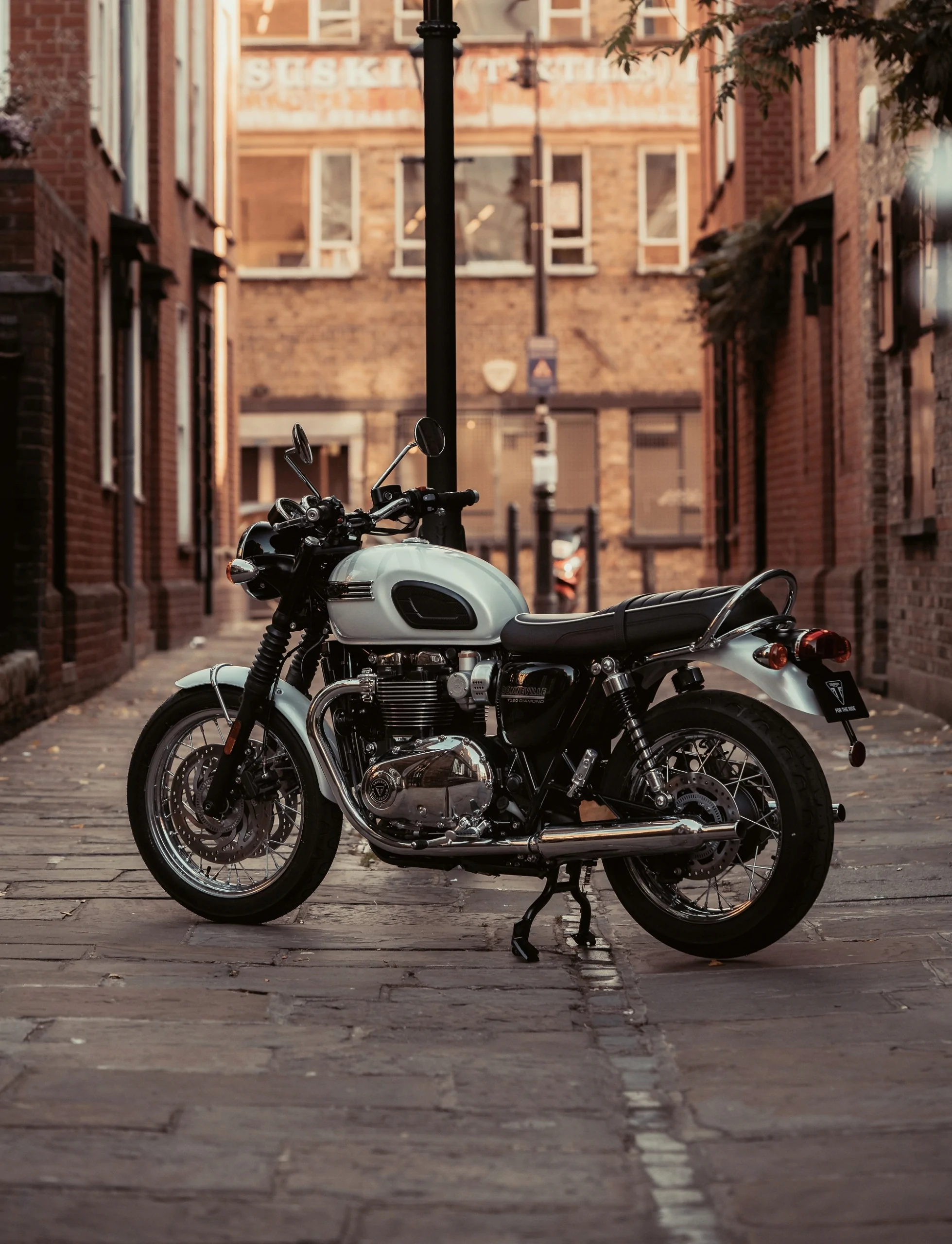 Thumbnail for Triumph Bonneville T120 Diamond Edition 2019